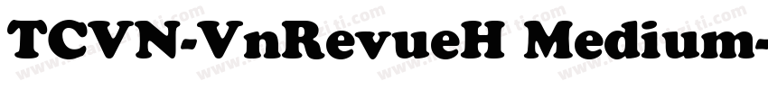 TCVN-VnRevueH Medium字体转换
